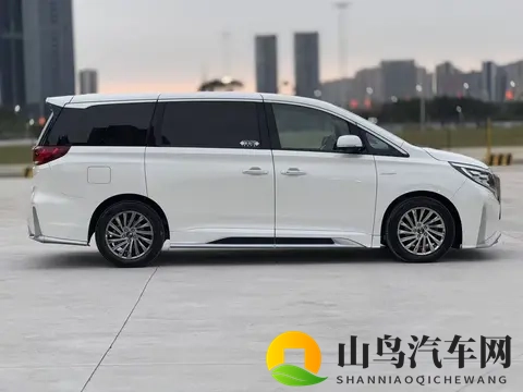 20年底上牌的传祺M8，7万公里，宜商宜家，12万拿下值不值？-2