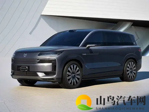 国产车跑得快，老外跟不上，能源命脉悄悄换了人-1