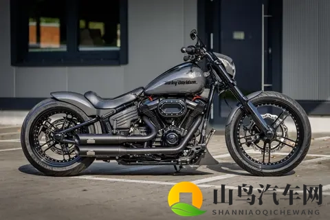 改装  “灰猎手” 哈雷戴维森突破者Breakout欣赏-2