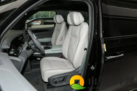 极氪 009:双十一给家人的豪华守护,适合家用的 MPV 选择-1