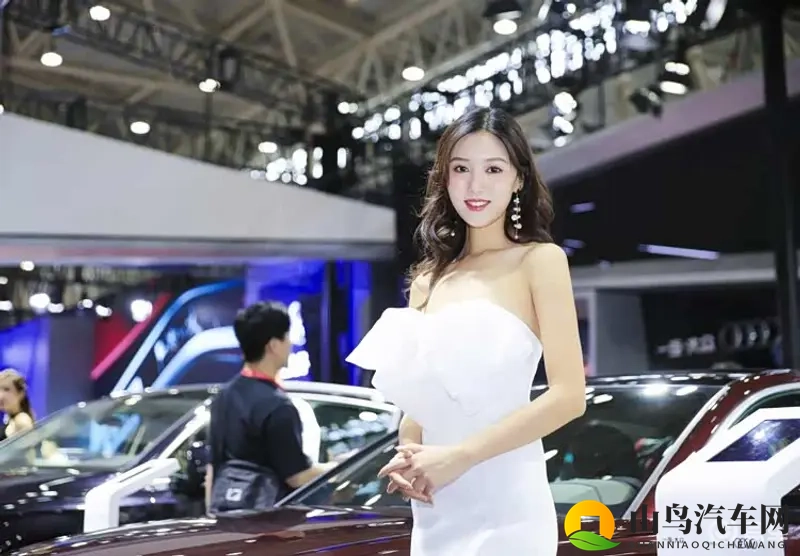 新势力的分化：从广州车展看各家生存之道-1