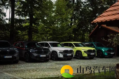 宝马XM车队携10辆炫酷座驾亮相-3
