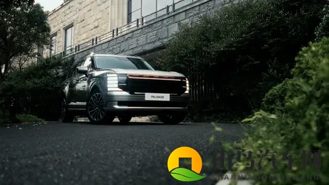 被称 “韩国大揽胜”!帕里斯帝实测:过坎不颠,第三排不挤人-3