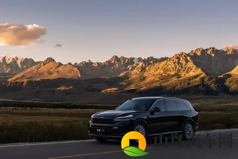 销量榜单座次重排 这三家新势力完成“逆袭”丨壹观察-1