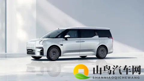 家庭商务通吃?极氪 009:800V +CCD+空悬 还有购车福利-2