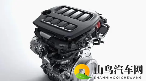 老少配BBW性仙踪林：年岁相配身材丰腴寻幽探秘-2