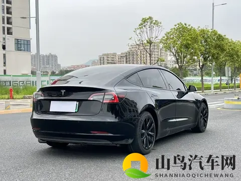 11万多圆梦科技座驾,21年一手特斯拉Model3代步通勤优选-3