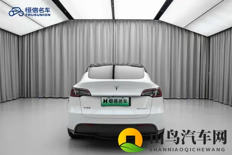 三年5万公里，省十万开走家用代步特斯拉Model Y-1