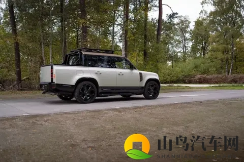 这虽然是全球首款卫士皮卡,但并不实用-2