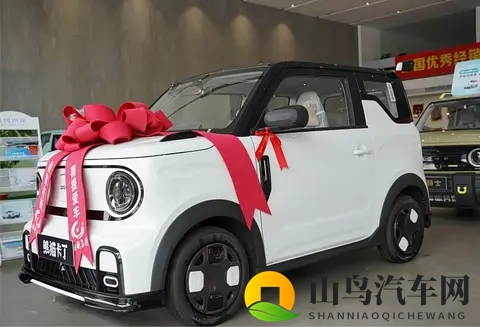 迟到的提车作业 吉利熊猫mini提车日记分享+验车步骤+当地习俗-2