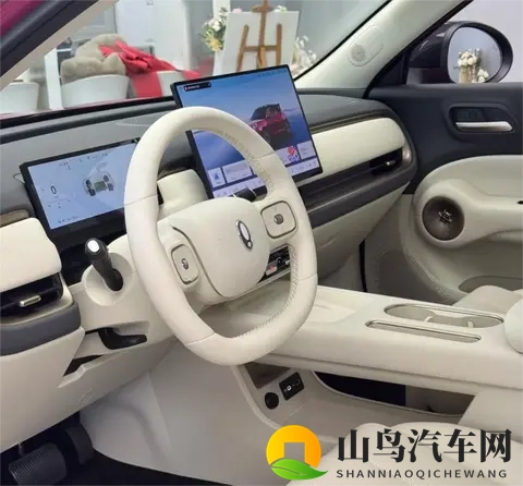 竞争比亚迪元UP！全新欧拉5实车到店，搭激光雷达_纯电续航580km-3