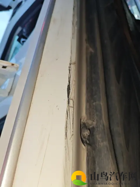 欧美人体内 精ggggg：欧美购车新趋势：揭秘个性化需求与制造商应对策略-3