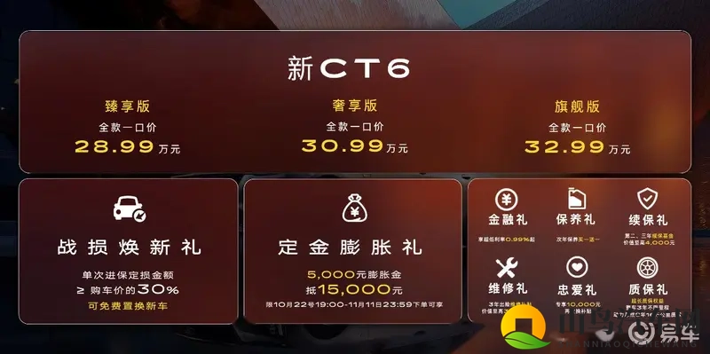 Lisaann与小伙子内谢：汽车界跨界风云，科技时尚环保新纪元-2