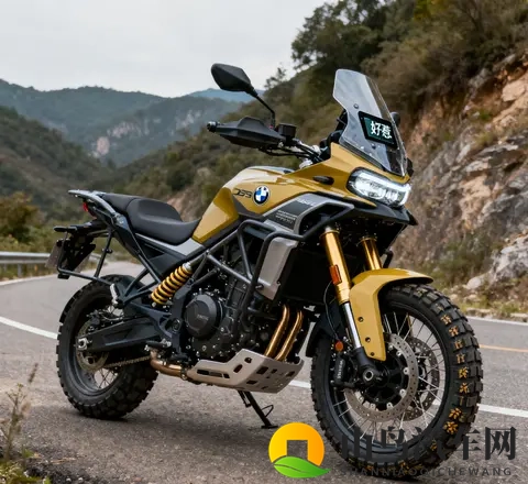 摩托成精了 无极DS900X杀疯 进隧道自开灯 5万2带宝马芯全套摩旅装备-1