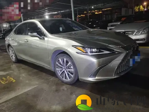 1698万，入手银灰色雷克萨斯ES，宜商宜家之选-1