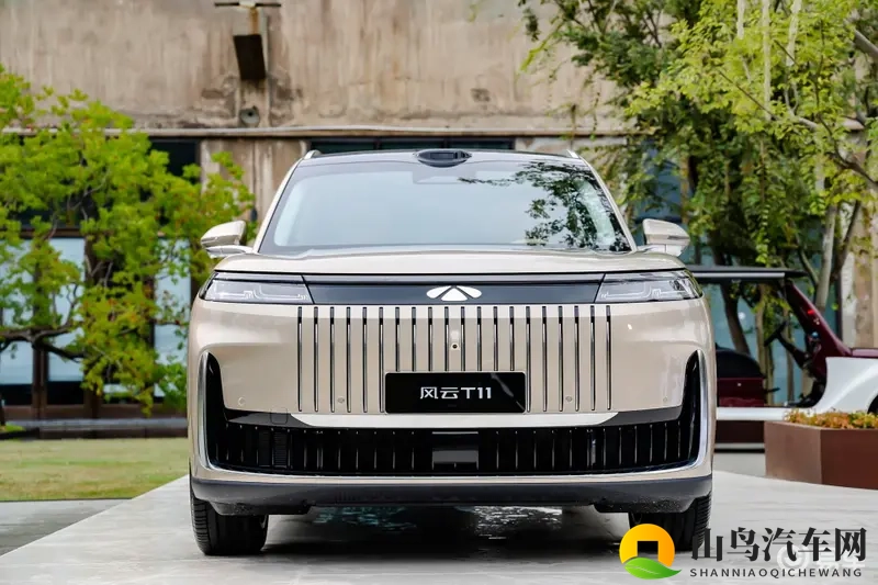 定位5米2级大六座SUV 风云T11预售19.99万元起-1