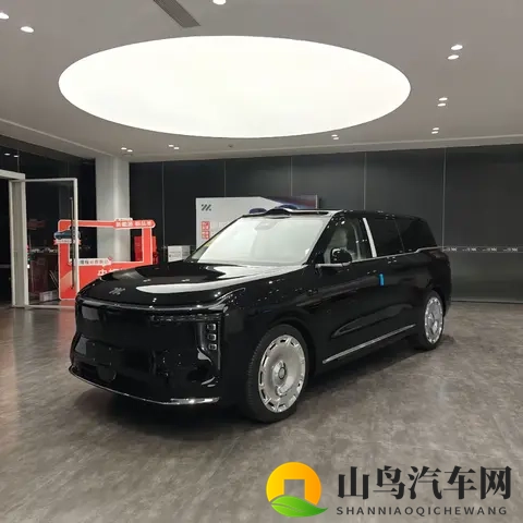 虚火下的“遥遥领先”：新能源汽车狂欢下的冷思考-2