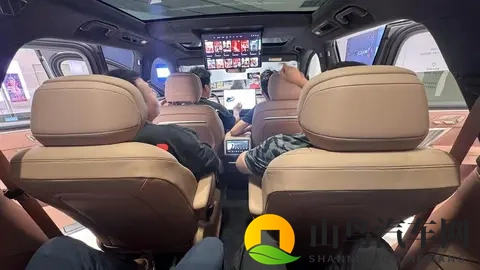 2025车市格局已定,上汽比亚迪争第一,高端燃油车退出价格战-2