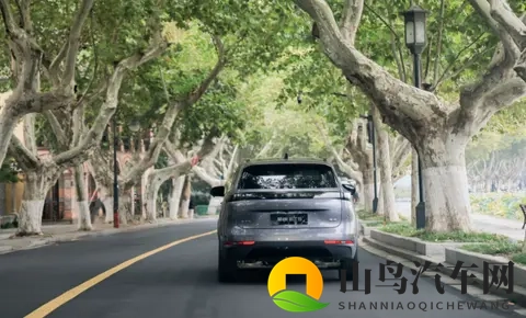 地平线HSD完成量产验真，加速辅助驾驶全面普及进程-3