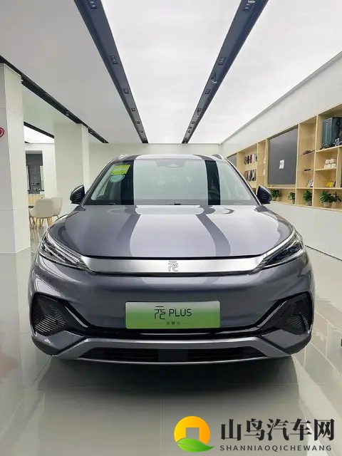 年度销量TOP10出炉，7款新能源霸榜，燃油车仅剩3席，时代真的变-3