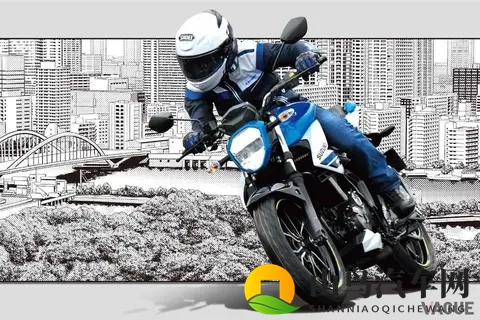 三款“250cc街头霸王” 易于驾驶，能够胜任长途旅行的各种需求-3