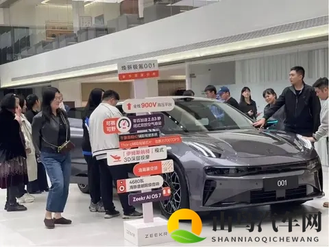 电厂  购置税变天之前，汽车公司“撒钱买量”-3