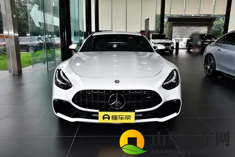 奔驰AMG-GT这一年:销量跌进冰窟窿 动力玩起猫腻戏-2