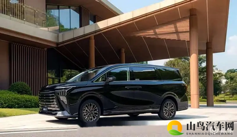 十大黄片网站:家庭SUV选购指南,这样选不后悔-2