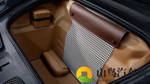 700小时的艺术：保时捷911 GT3 Ocelot：致敬拉美豹猫-3