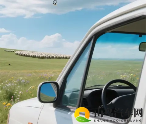 开车时最致命的5个“隐形杀手”，90%的司机都犯过！-1