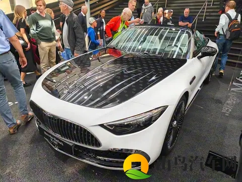 迈巴赫首款双座敞篷跑车亮相！双拼色车身动感十足，配40T V8动力-2