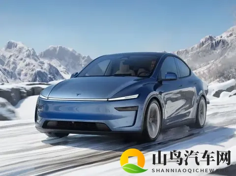 特斯拉印度首发：50万天价背后的商业算盘-2