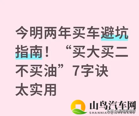 今明两年买车避坑指南！“买大买二不买油”7字诀太实用-1