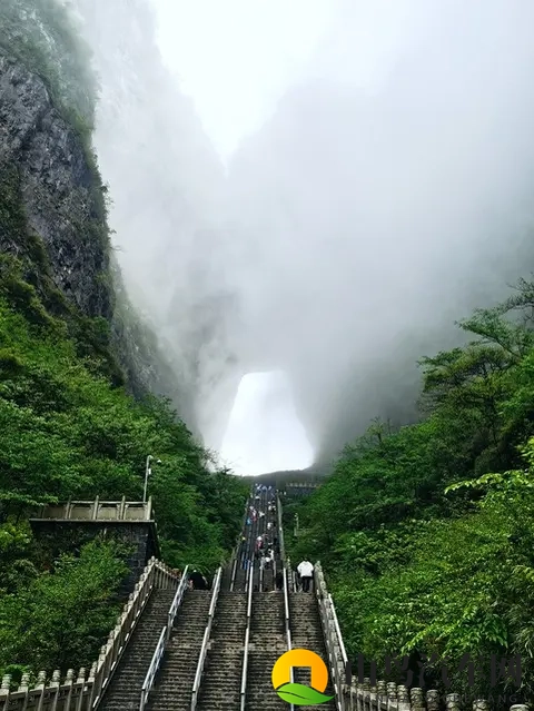天门山惊魂一幕！汽车挑战天梯撞毁栏杆，景区回应引众怒-1