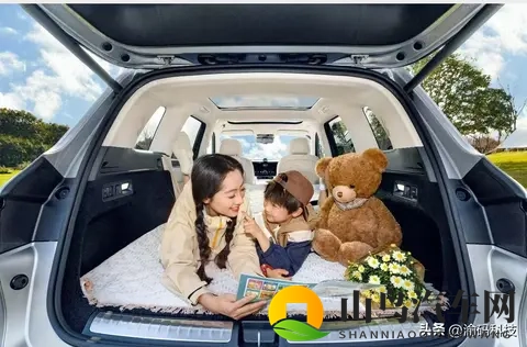 重磅！新能源车“免税时代”即将结束，2026年起购置税减半征收-3