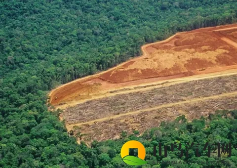 成人 色情男男:汽车设计新潮流:大胆元素打造个性座驾-2