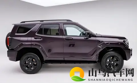 2498万起售 全新坦克400携全动力科技矩阵登陆硬派SUV市场-2