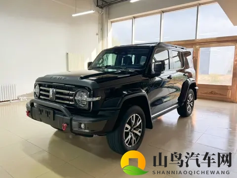 16万多拿下硬派越野!22年坦克300,圆你一个越野梦-3