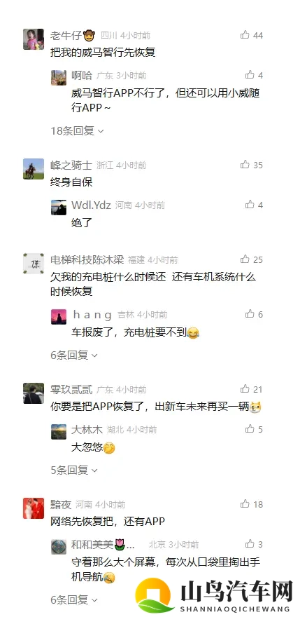 威马复活,一场“闹剧”or“爽剧”?-3