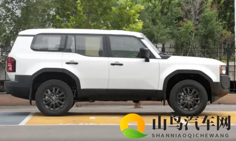 硬派越野的价值之选：福特烈马荒地版对比丰田普拉多的产品力分析-3