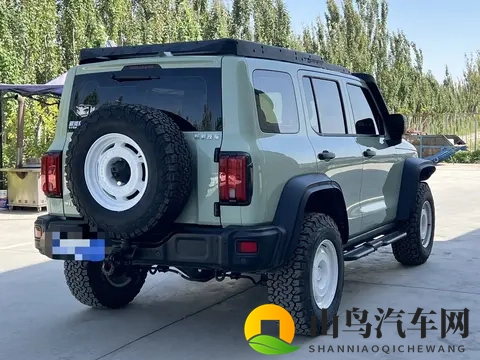 一手准新坦克300铁骑02：圆你硬派越野梦-3