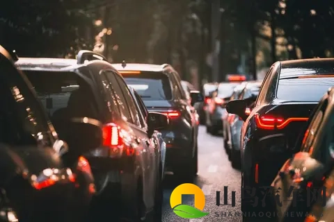 新能源神话破了？燃油车连涨4月，占比近半-1