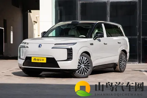 2998万起售，六座布局，腾势N8L DM适合家用吗？-2