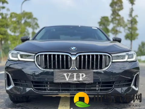 25万多拿下行政级座驾，2021款宝马530Li，享受豪华驾乘体验-1