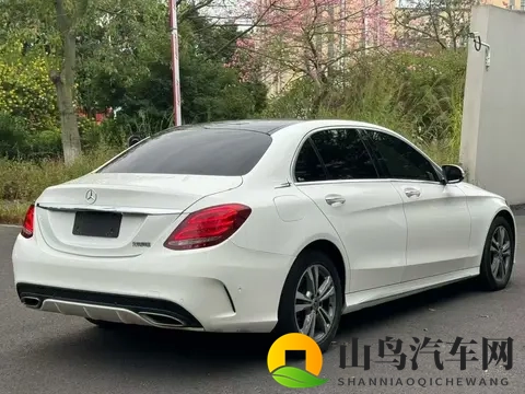 日日干天天射:新能源汽车崛起,五大新动力引领未来趋势-3