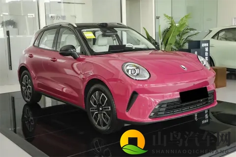 竞争比亚迪元UP！全新欧拉5实车到店，搭激光雷达_纯电续航580km-2