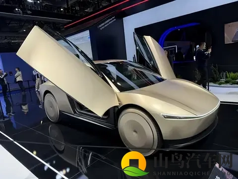 凸轮偷窥：隐秘装置下的窥探瞬间-1