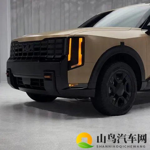 全新起亚Telluride实车亮相 气场不输路虎 提供混动版可选-2