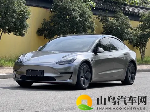10万出头，圆你特斯拉梦！Model3代步通勤值不值？-1