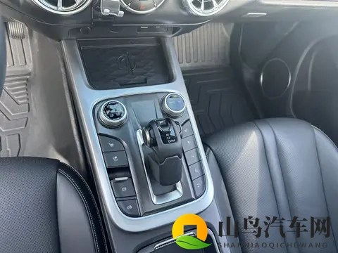 硬派越野触手可及,3万公里一手坦克300,圆你越野梦-2